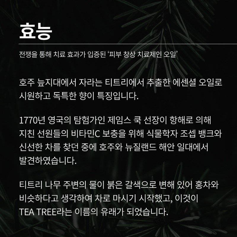 Partner company Skinbolic Tea Tree Essential Oil 5ml / 스킨볼릭