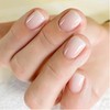 ewku 24pcs French Tip False Nails, Short Square Press on