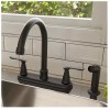 Project Source Laural Matte Black Double Handle Kitchen Faucet W/Side