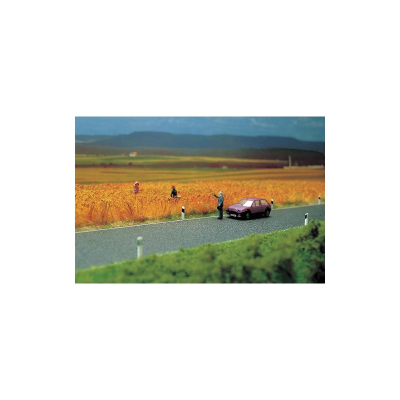 Busch 6034 - Landstraße HO/TT