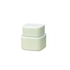 Tatsumiya Pistachio Horn 30499 Quick Washable Storage Container
