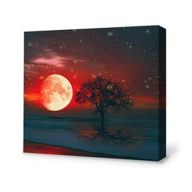 SIGNFORD Canvas Wall Art for Living Room,Bedroom Home Artwork Paintings Secret Paradise under the Moonlight Ready to Hang - 12x12 inches