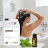 Shampoo a Granel Anticaspa y Seborrea con Tea Tree Oil