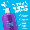 Aussie Miracle Moist with Avocado & Jojoba Oil, Paraben Free