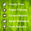 Clove Bud Essential Aromatherapy Oil (30ml)