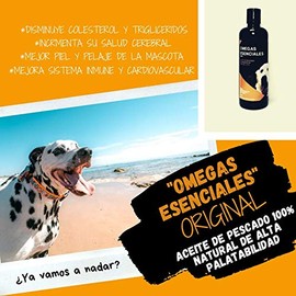 Aceite de Pescado 100% Natural para Perros y Gatos, suplemento líquido abundante en Omega 3 Que Contiene Todos los ácidos grasos Naturales EPA y DHA (