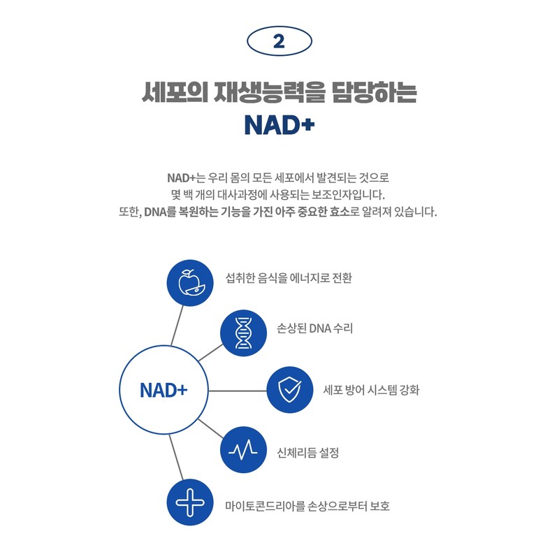 NMN Nicotinamide Nicotinamide Riboside 500mg 120 Capsules / NMN 니코틴아미드