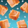 Sea Salt Caramel Cubes Candy 2 Pounds, Individually Wrapped, Bulk
