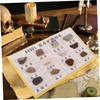 BUGUUYO 12pcs Portable Mineral Rock Specimen for Geology Education Lightweight