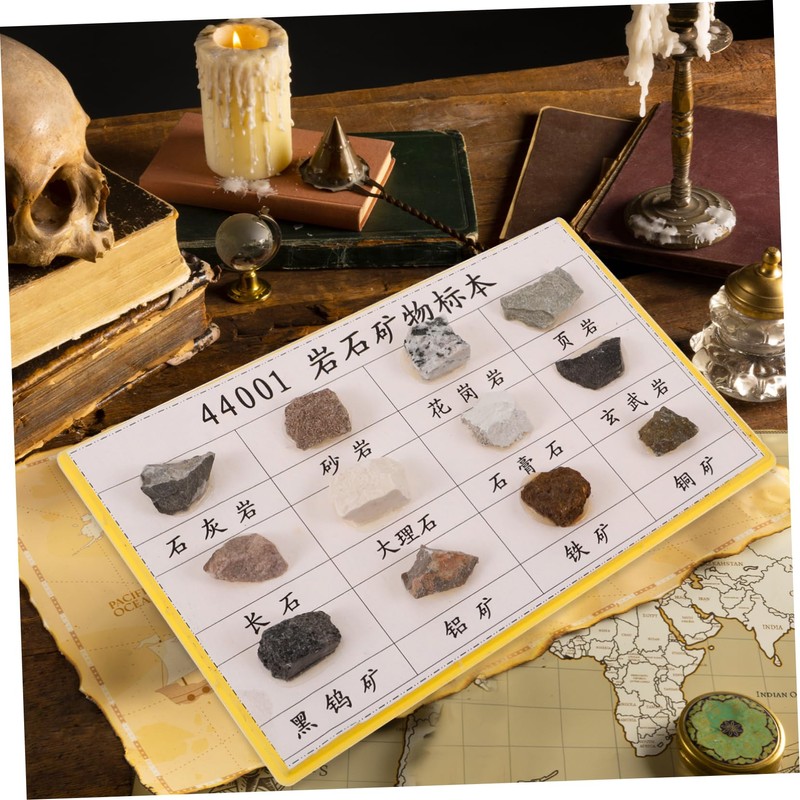 BUGUUYO 12pcs Portable Mineral Rock Specimen for Geology Education Lightweight