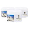 Pack 3 Cremas Sólidas Eva Essence Concha Nácar 400ml Anti-Aging