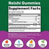 Fungies Reishi Mushroom Gummies 60 Count Daily Calm and Stress