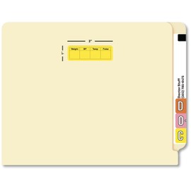 Doctor Stuff - File Folder Chart Labels, MAP3590, Weight/Blood Pressure, Medical Chart Stickers, Fluorescent Chartreuse/Black, 3" x 1", 250 per Box