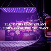 SERWING Grow Light for Indoor Plants 200W LED Plant Growing