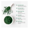 Chlorella Orgánica En Polvo 1 Kg Vizana Nutrition