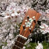 Inlay Sticker for Guitar & Ukulele Headstock - Cherry Blossom/Sakura,H-124SA