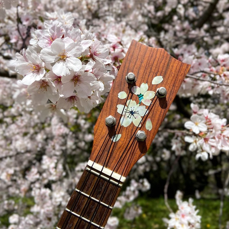 Inlay Sticker for Guitar & Ukulele Headstock - Cherry Blossom/Sakura,H-124SA