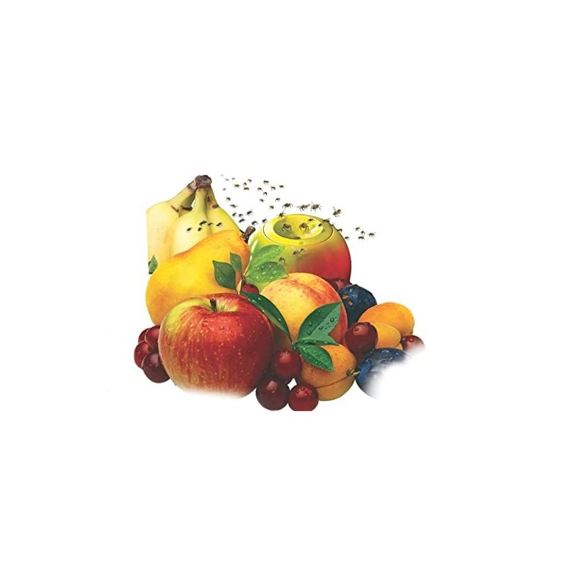 TERRO 2-Pack Fly Trap