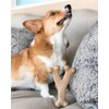 SPOT Bam-Bones Wishbone - Made with Strong Bamboo Fiber, Durable