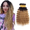 Ombre 1b27 Deep Wave Human Hair 3 Bundles Tow Tone