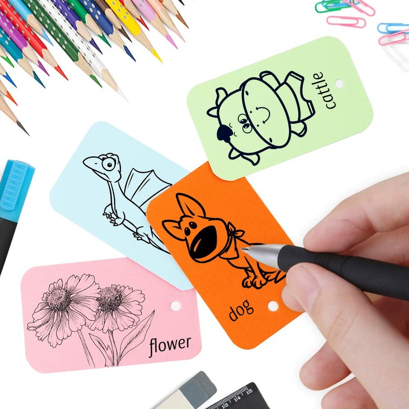 Koogel Flash Cards, 6 Pack 300 Revision Cards Index Cards