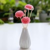 Iron Banyan 100PCS Reed Diffuser Sticks,10 Inch Natural Rattan Wood