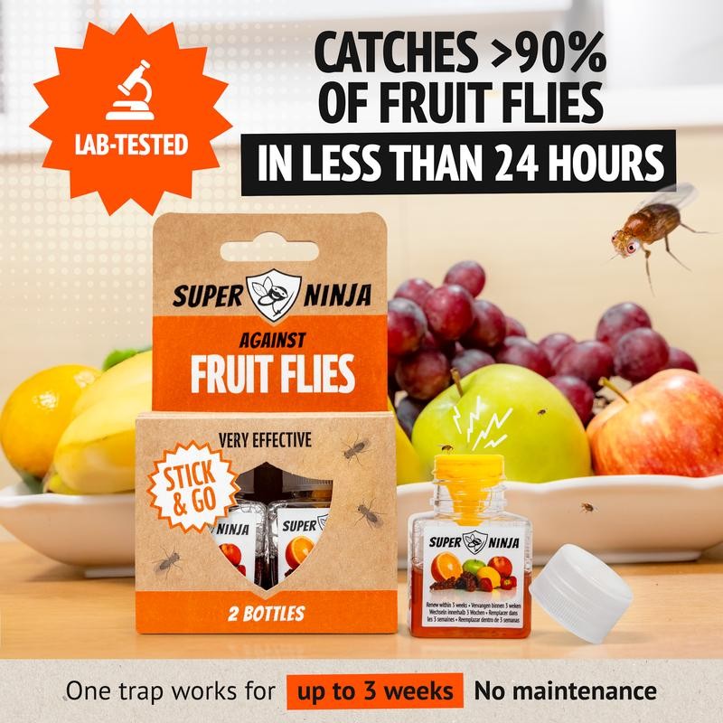 Super Ninja Fruit Fly Trap - Highly Effective Indoor Traps