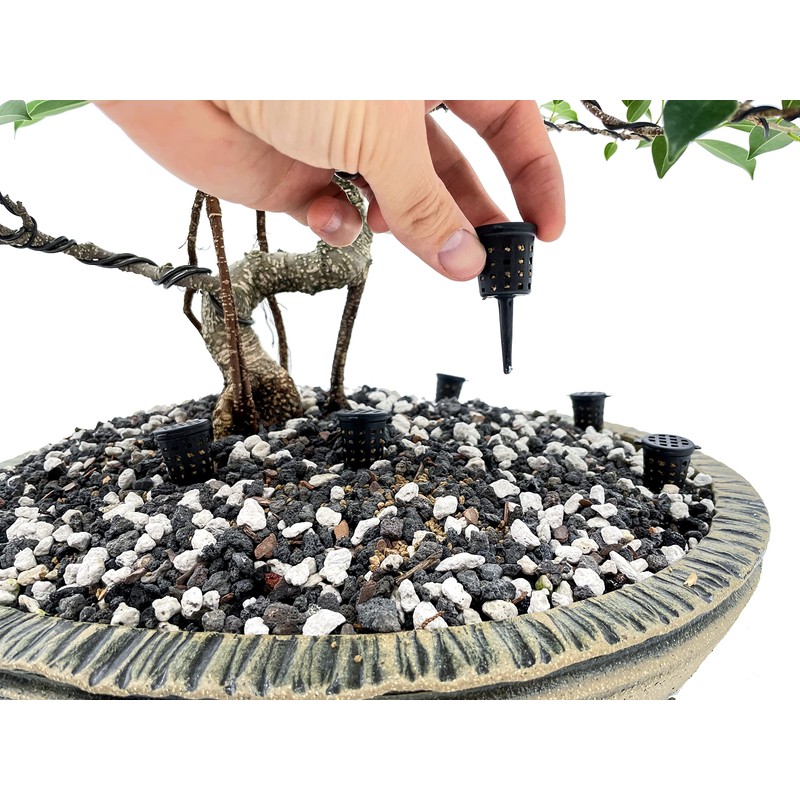 Bonsai Fertilizer Baskets (10pcs) by The Bonsai Supply