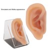 Silicone Ear Model Simulated Ear Model Acupuncture Practice Tool with