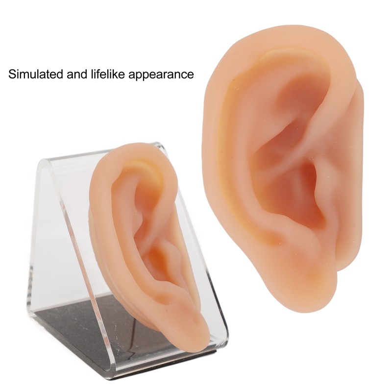 Silicone Ear Model Simulated Ear Model Acupuncture Practice Tool with