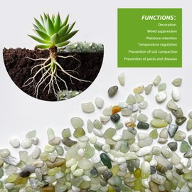 2LB Jade Succulent and Cactus Pebbles - 1/5 Inch Natural Polished Decorative Stones for Indoor Plants, Vases, Planters, and Outdoor Gardening