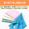 Teijin Frontier Acchikochi Dish Towel, Thick Edition, 13.0 x 19.7