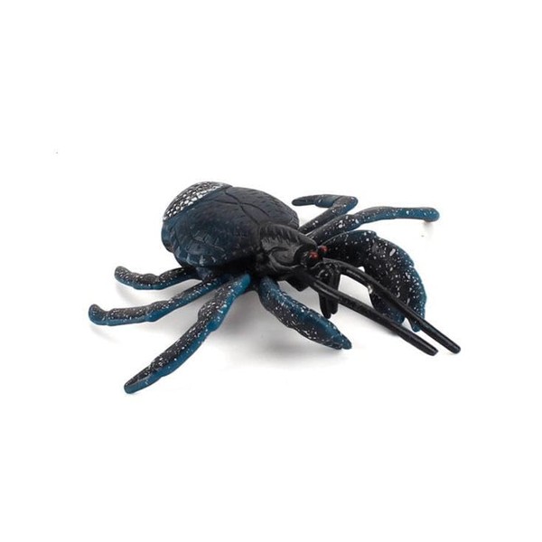 Neko Kamiyama, Coconut Crab, Sea Fish Crab, Sea Fish, Rock,