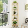 5 Tier Corner Shelf Stand, Gold Metal Frame Corner Shelf