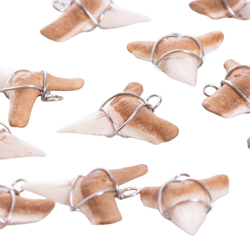 BlueRica Shark Tooth on Black Coconut Shell Beads Necklace (18"