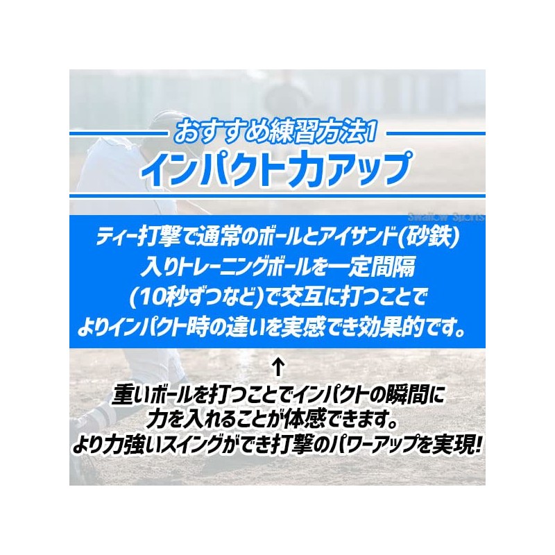 ZETT(ゼット) アイアンサンド(砂鉄)入トレーニングボール 1個 BB450S 450g