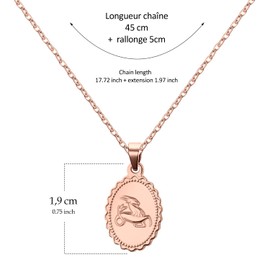 AURSTORE Stainless Steel 12 Zodiac Sign Necklace with 12 Zodiac Signs with a Chain of 45 cm + 5 cm Extender, Charming and Elegant, 3 Colours to Choose From, Rose Gold, Ladies, Girls, Stainless Steel,