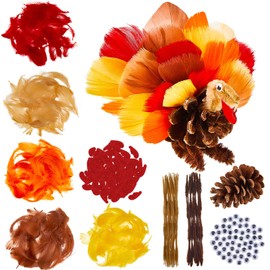 15 Set Thanksgiving Turkey Craft Kit, Thankful Pinecone Felt Craft with Colorful Feathers DIY Making Kit Preschool Autumn Activities Party Favors Decoration Supplies for Kids Toddlers