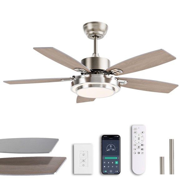 SNZ SNZ 42 Inch Ceiling Fans with Lights and Remote/APP