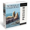 Lantern Press 1000 Piece Jigsaw Puzzle, Monterey, California, Sea Lions