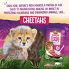 EnviroKidz Organic Cheetah Chomps Cereal, 10 oz (Pack of 12),