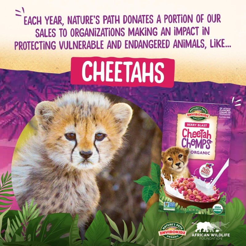 EnviroKidz Organic Cheetah Chomps Cereal, 10 oz (Pack of 12),