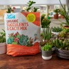 Back to the Roots 6qt Succulent & Cacti Mix