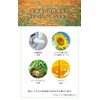 Natural Island Calendula Feel Shampoo 13.5 fl oz (400 ml),
