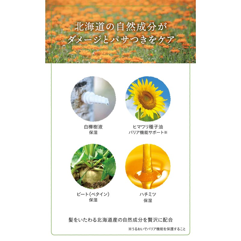 Natural Island Calendula Feel Shampoo 13.5 fl oz (400 ml),