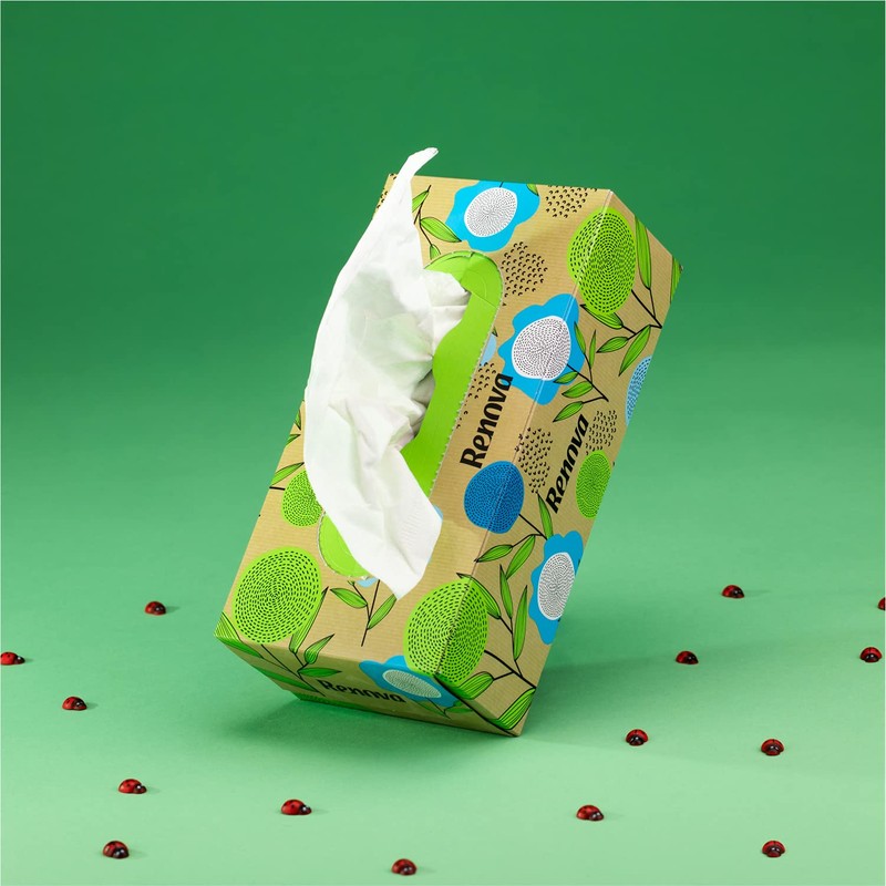 Renova Renova Recycled Facial Tissues | Box of 72 Tissues