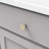 Hickory Hardware HH075341-EGN Skylight Collection Pull, 1-1/4 Inch Square, Elusive