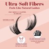 Fox Eye Lash Clusters Kit, Wispy Lash Clusters