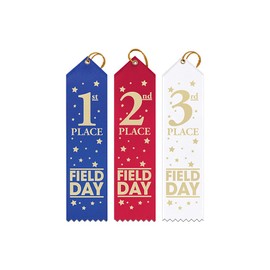 Hodges Badge - 75 Pack - Field Day Award Ribbons - 1st 2nd 3rd Place - 25 Each - Made in USA