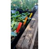 TAGKRAFTERS 4" x 5/8" Dark Green Premium Pot Stakes -